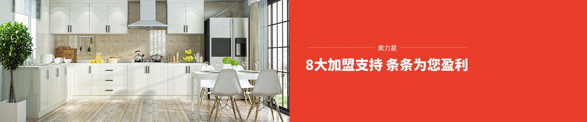 奥力星——8大加盟支持，条条为您盈利